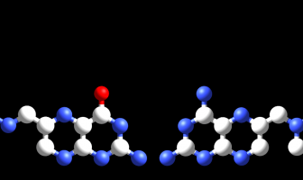 The drug methotrexate (right) is an antimetabolite that interferes with the metabolism of folic acid (left).