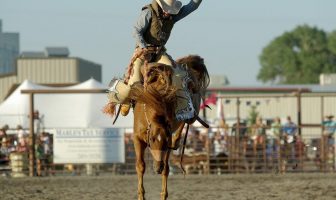 What is Rodeo? History Of Rodeo and Events