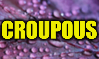 Use Croupous in a Sentence - How to use "Croupous" in a sentence