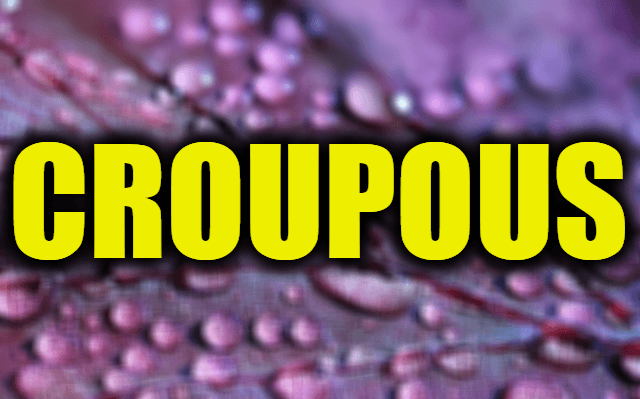 Use Croupous in a Sentence - How to use "Croupous" in a sentence
