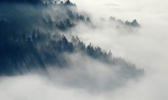 What makes fog and clouds?