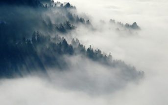 What makes fog and clouds?