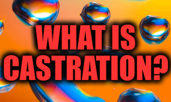 What is Castration? Castration Reasons and Methods