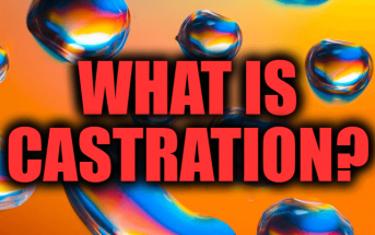 What is Castration? Castration Reasons and Methods