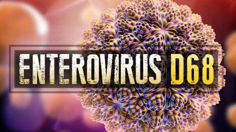 What is the Definition of Enterovirus? What are Enterovirus Features?