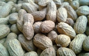 Information About Groundnut? Groundnut oil, Growing and Planting Groundnuts.