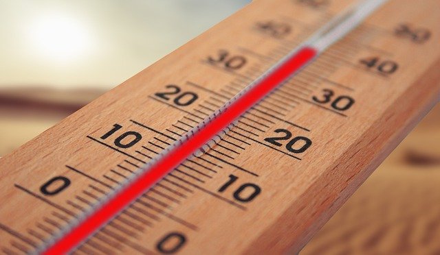 Why is Temperature Important For Life?
