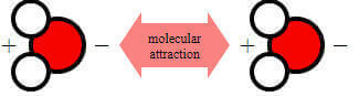 Molecular Attraction