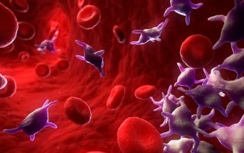 Information About Platelets - What is the definition of Platelets?