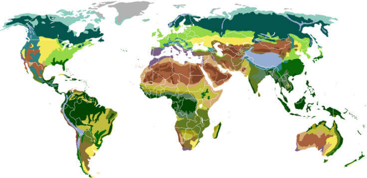 What are the Main Biomes of the World?