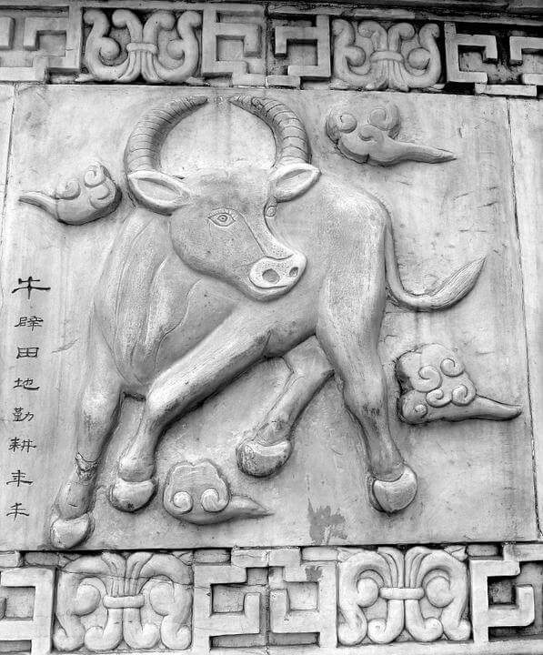 Chinese Zodiac Characteristics of the Ox