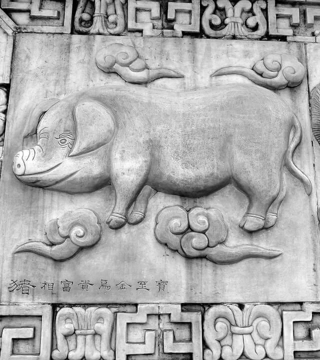 Chinese Zodiac Characteristics of the Pig