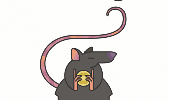 Chinese Zodiac Characteristics of the Rat