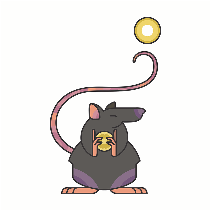 Chinese Zodiac Characteristics of the Rat