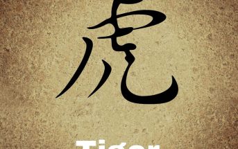 Chinese Zodiac Characteristics of the Tiger
