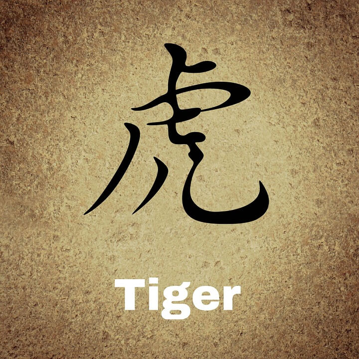 Chinese Zodiac Characteristics of the Tiger