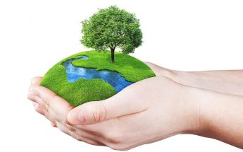 Best 10 Earth Day Messages for Employees