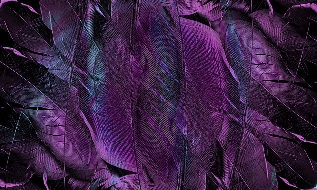 Feather Structure - Growth and Types - Information About Feather