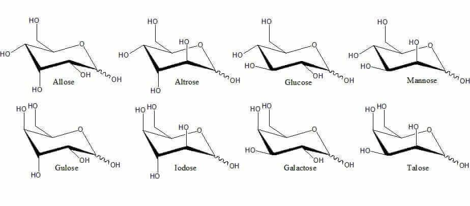 What Are Polysaccharides? Structure, Functions and Properties of Polysaccharides