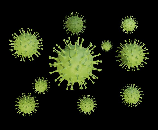 10 Characteristics Of Viruses - What are Viruses? (The origin of viruses)