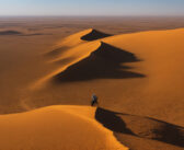 Exploring the Sahara: Climate, Vegetation, and Economy of the World’s Largest Desert