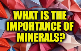 What Is The Importance Of Minerals?