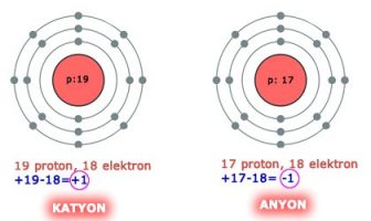Examples of Anions and Cations - How are they formed and what are their types?
