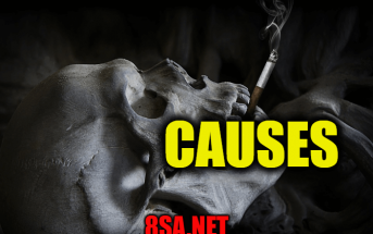 Causes in a Sentence