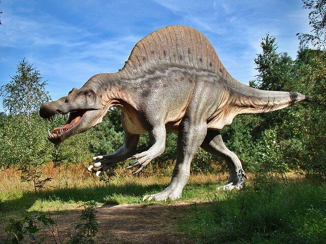 10 Characteristics Of Dinosaurs - What are Dinosaurs Known for?