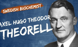 Axel Hugo Theodor Theorell