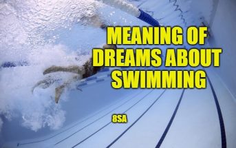 Swimming in Dream