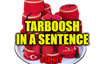 Tarboosh in a Sentence