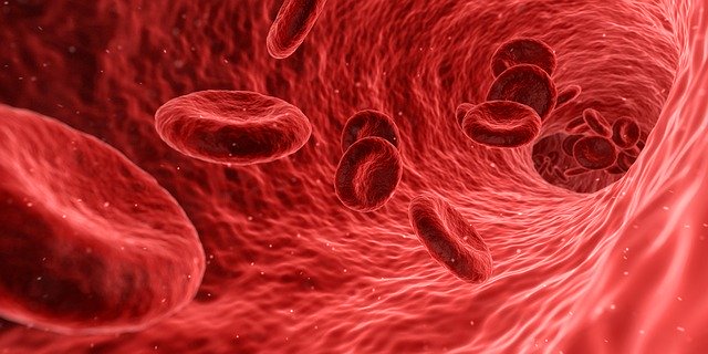 What is Blood Clotting Process? What does blood clotting mean?