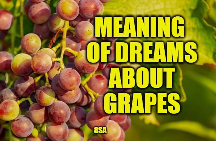 Meaning of Dreams About Grapes