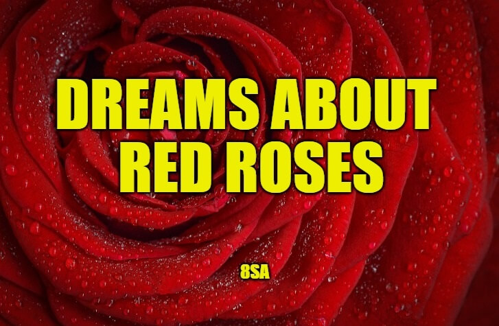 Dreams About Red Roses