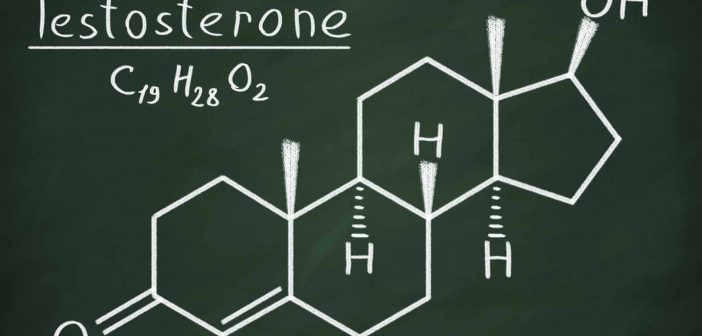 10 Characteristics Of Testosterone – Effects of Testosterone To Body