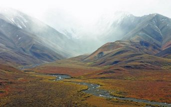 10 Characteristics Of Tundra - What is Tundra and What are its Features?