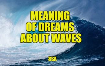 wave dreams