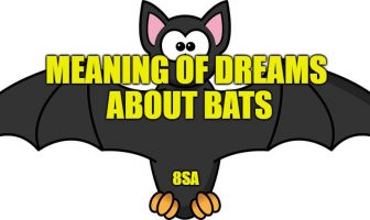 bat dreams