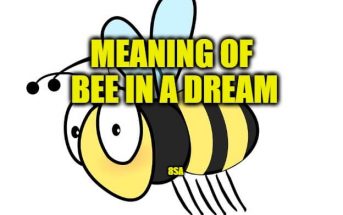 bee dream