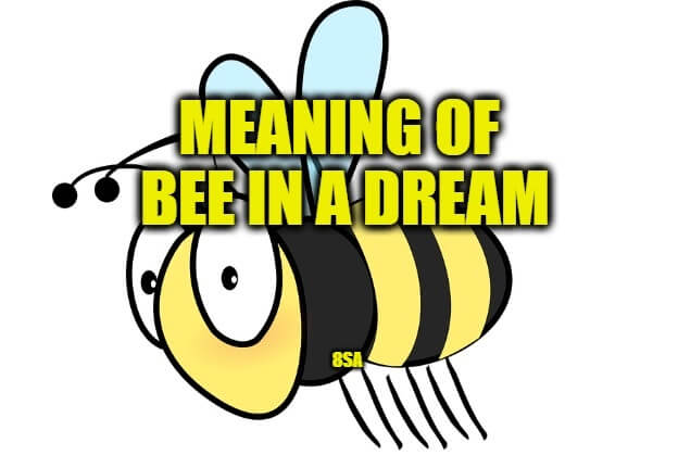 bee dream