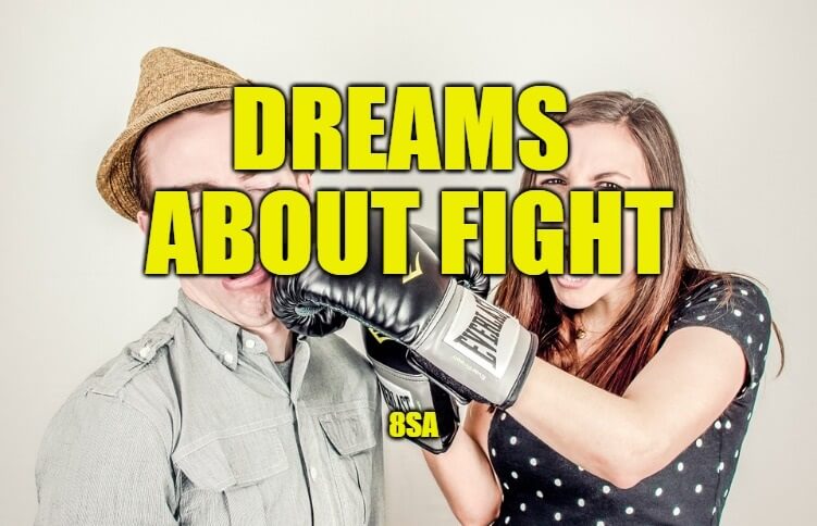 dreams about fight