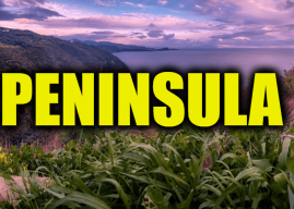 Use Peninsula in a Sentence and How to use “Peninsula” in a sentence