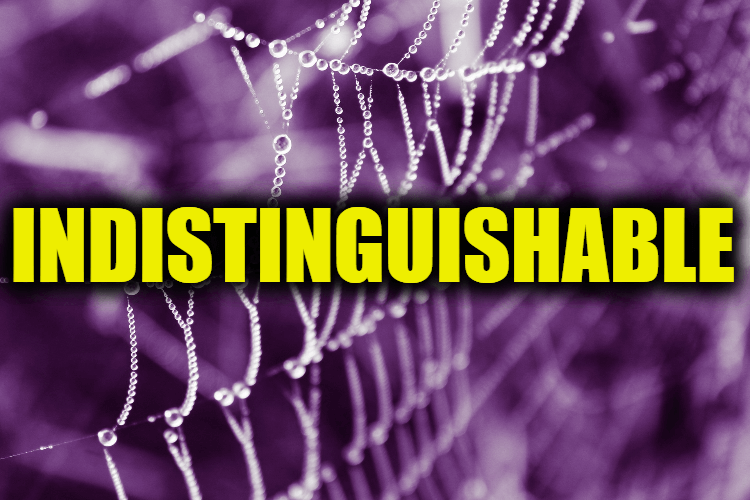 Use Indistinguishable in a Sentence - How to use "Indistinguishable" in a sentence