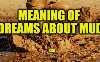 Meaning of Dreams About Mud