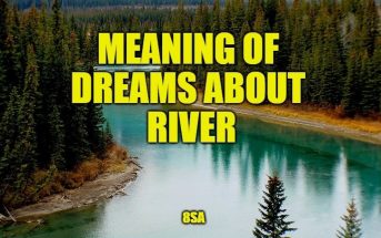 Dreams About Stream, River