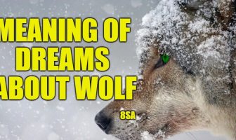 Dreams About Wolves