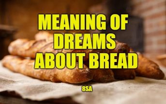 bread dream