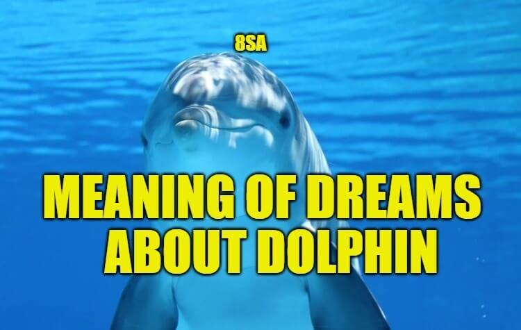Meaning of Dreams About Dolphins