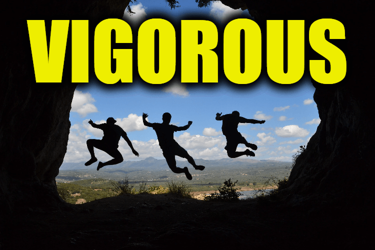 Use Vigorous in a Sentence - How to use "Vigorous" in a sentence